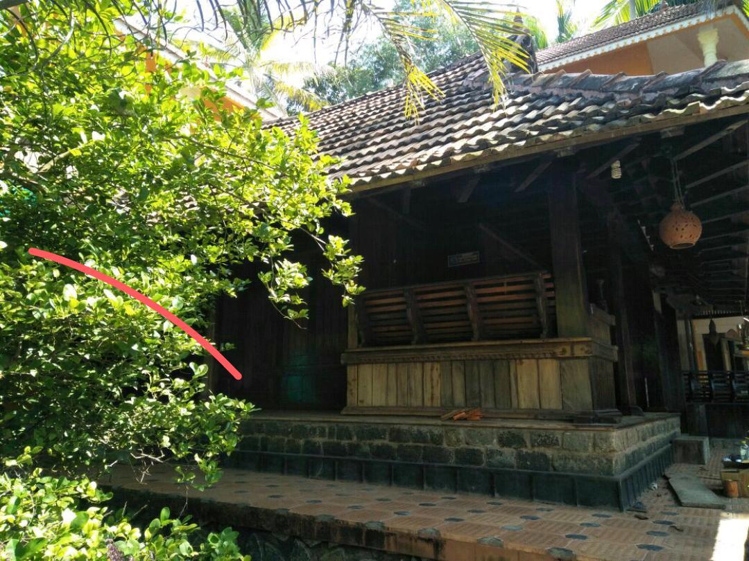 Апартаменты Thriphala Ayurveda Yogashram Тривандрум Экстерьер фото